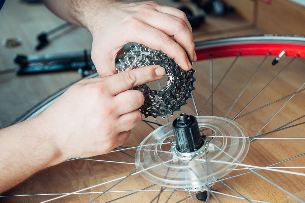 zahnkranz fahrrad wechseln