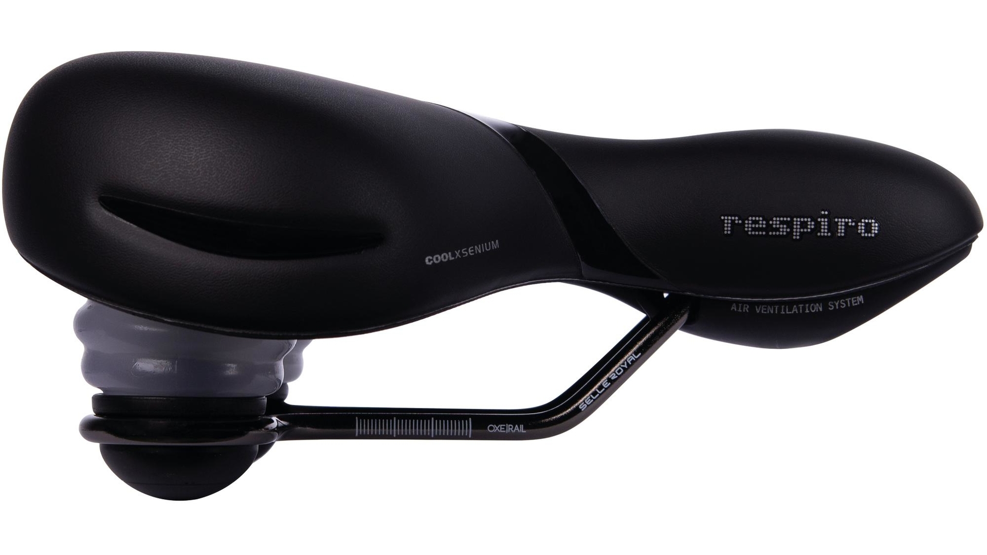 assault bike rogue echo