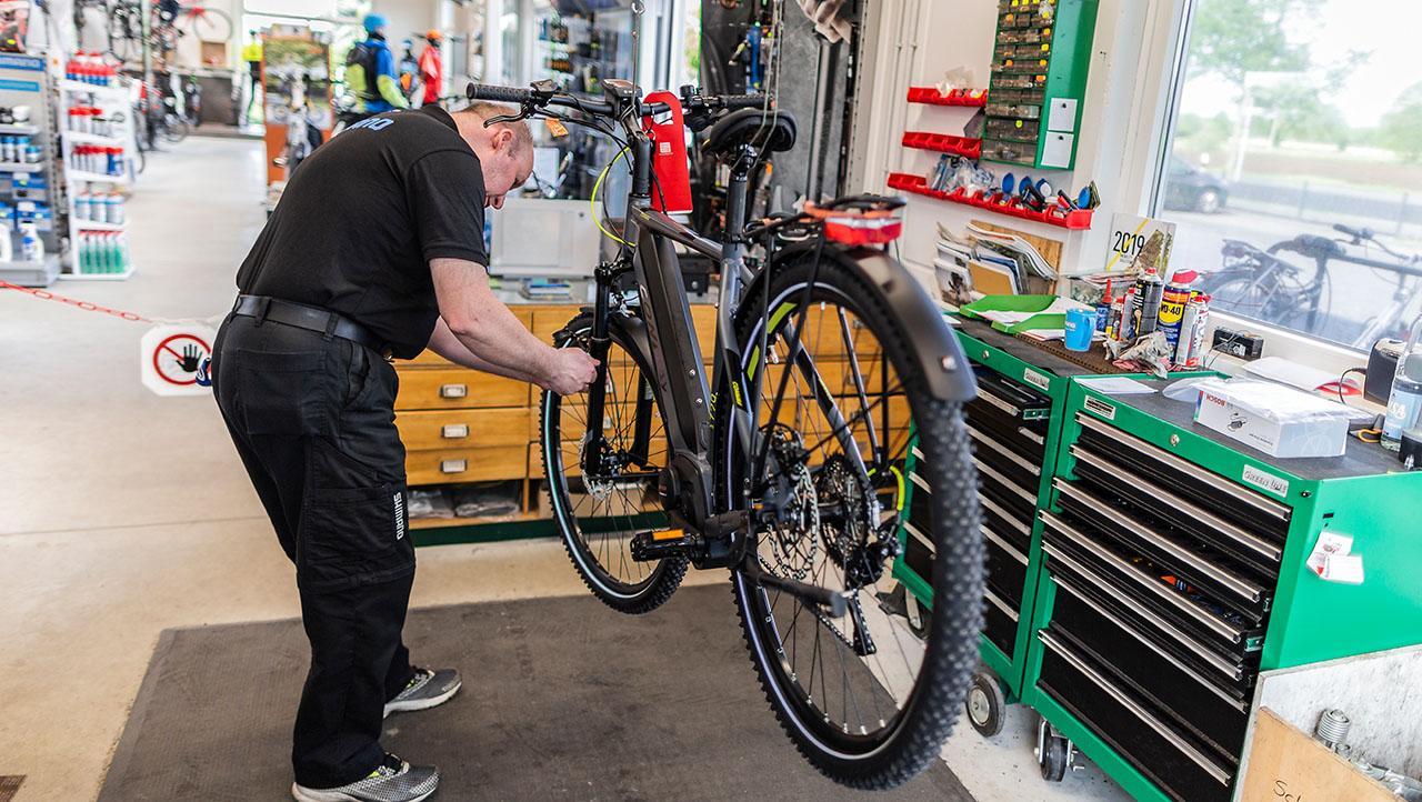 Fahrrad Busch Dülmen
