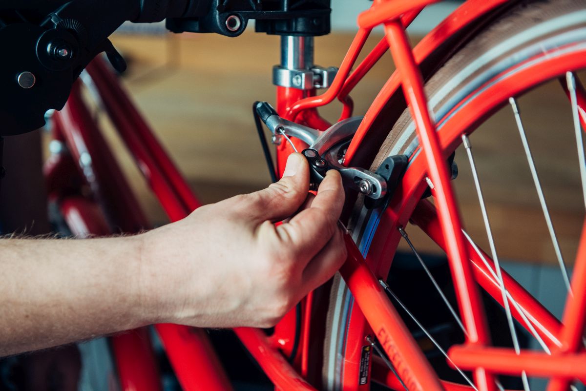 Fahrrad Zahnkranz Ausbauen