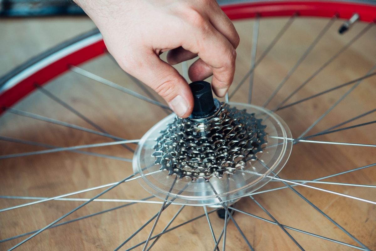 Fahrrad Zahnkranz Ausbauen